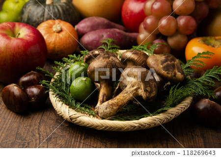 秋季食材和松茸 118269643