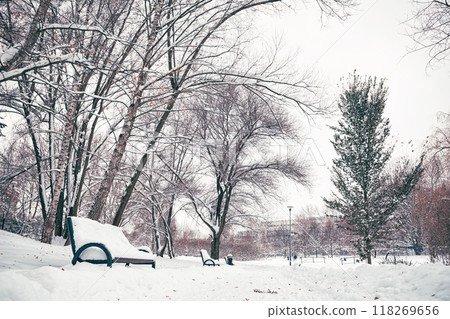 snowy alley in the park after snowfall, trees and benches in the snow. 118269656