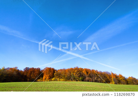 autumn forest, colored trees in the autumn, beautiful Ukrainian landscape of autumn autumn forest, colored trees in the autumn, beautiful Ukrainian landscape of autumn 118269870