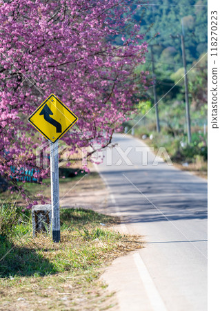 Travel warning signs are placed on the side of the road among suburban trees, such as Wild Himalayan Cherry, when Sakura trees are in full pink bloom and shade the walkways. Travel warning signs are placed on the side of the road among suburban trees, such as Wild Himalayan Cherry, when Sakura trees are in full pink bloom and shade the walkways. 118270223