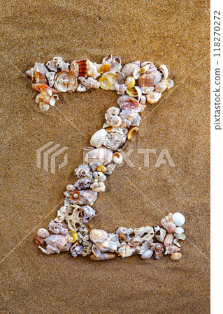 The letter Z of the English alphabet, a letter made of seashells on the sand. The letter Z of the English alphabet, a letter made of seashells on the sand. 118270272