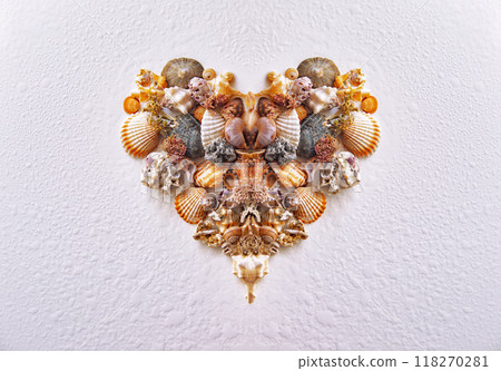 heart from sea shells on a white background heart from sea shells on a white background 118270281