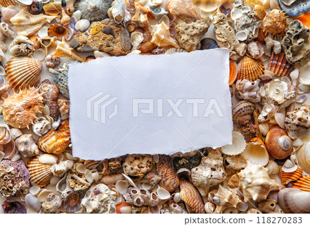 white paper on a background of sea shells of different colors on. 118270283