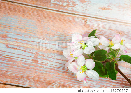 a branch of spring blossoming apple tree on a wooden background. a branch of spring blossoming apple tree on a wooden background. 118270337