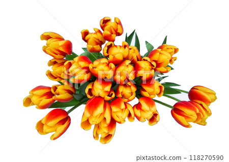 Red tulips bouquet in white pot isolated over white background. Mothers Day, Birthday, Valentines Day concept. Red tulips bouquet in white pot isolated over white background. Mothers Day, Birthday, Valentines Day concept. 118270590