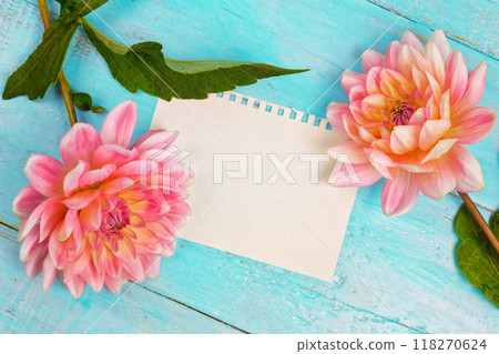 summer background. dahlias and a canvas on a blue wooden background. art. space for a text summer background. dahlias and a canvas on a blue wooden background. art. space for a text 118270624
