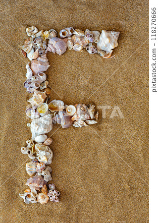 The letter F of the English alphabet, a letter made of seashells on the sand. The letter F of the English alphabet, a letter made of seashells on the sand. 118270666