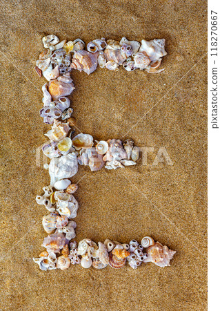 The letter E of the English alphabet, a letter made of seashells on the sand. 118270667