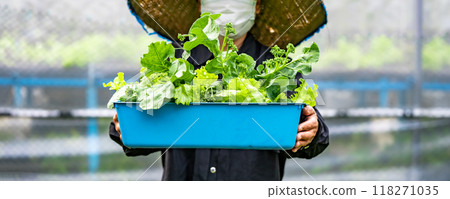 Worker was carrying a vegetable pot with green foliage while standing, dressed in a cap and mask. Worker was carrying a vegetable pot with green foliage while standing, dressed in a cap and mask. 118271035