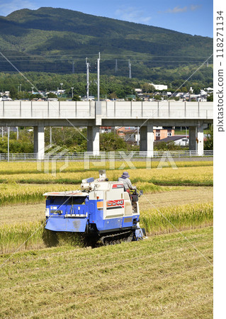 拍攝北海道北斗市初秋的水稻收割 拍攝北海道北斗市初秋的水稻收割 118271134