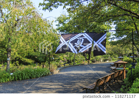 名花之裡:日本傘與秋花 名花之裡:日本傘與秋花 118271137