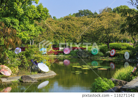 名花之裡：日本傘與秋花 118271142