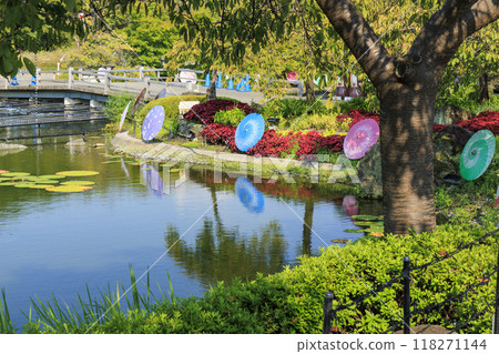 Nabana no Sato: Japanese umbrellas and autumn flowers Nabana no Sato: Japanese umbrellas and autumn flowers 118271144