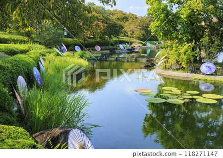 Nabana no Sato: Japanese umbrellas and autumn flowers 118271147
