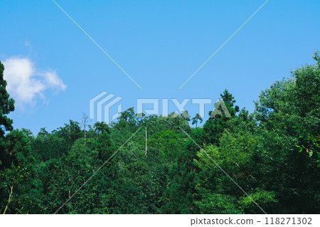夏天的藍天白雲 夏天的藍天白雲 118271302
