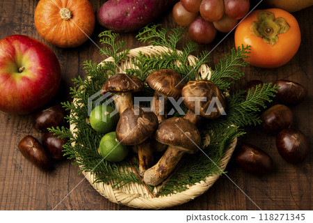 秋季食材和松茸 秋季食材和松茸 118271345
