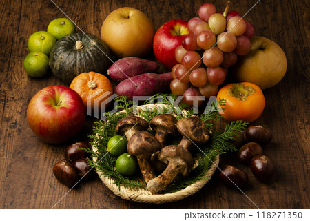 秋季食材和松茸 118271350