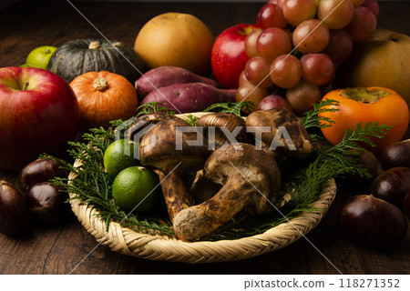 秋季食材和松茸 118271352