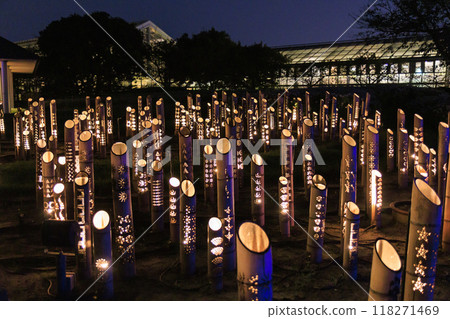 Nabana no Sato Summer Illumination Nabana no Sato Summer Illumination 118271469