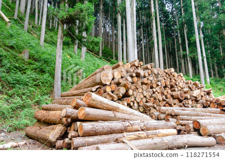 在森林車間收集的原木 在森林車間收集的原木 118271554
