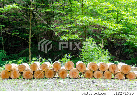 Firewood cut into short pieces and arranged for chopping Firewood cut into short pieces and arranged for chopping 118271559