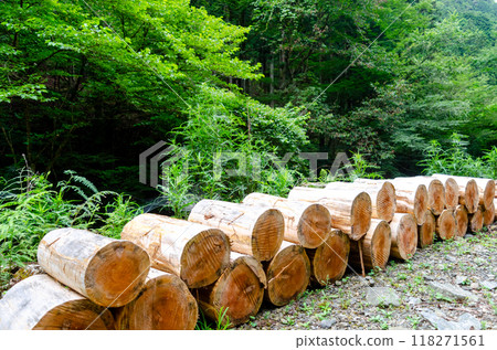 Firewood cut into short pieces and arranged for chopping 118271561