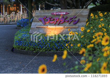 Nabana no Sato Village Summer Lights Begonia Night Carnival 118271893