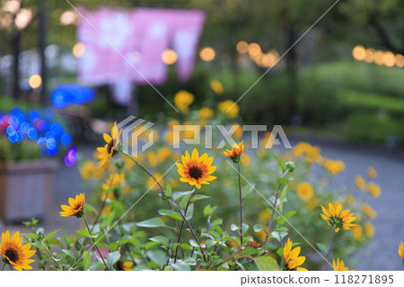 Nabana no Sato Village Summer Lights Begonia Night Carnival 118271895