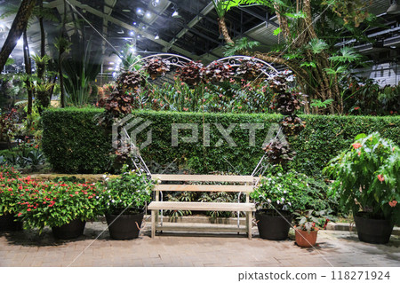 Nabana no Sato Village Summer Lights Begonia Night Carnival Nabana no Sato Village Summer Lights Begonia Night Carnival 118271924