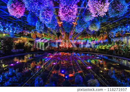 Nabana no Sato Village Summer Lights Begonia Night Carnival Nabana no Sato Village Summer Lights Begonia Night Carnival 118271937