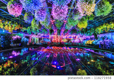 名花之里村夏燈海棠之夜嘉年華 名花之里村夏燈海棠之夜嘉年華 118271938