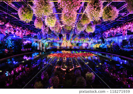 Nabana no Sato Village Summer Lights Begonia Night Carnival 118271939