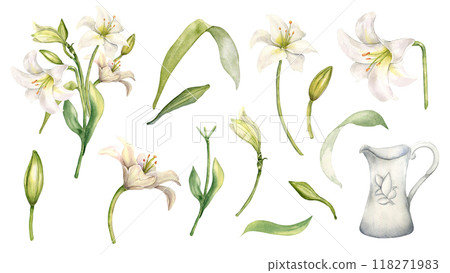 White flowers lily and jug watercolor illustration isolated. Easter floral set in pastel tones hand drawn. Lily, stem, bud and leaves painted in botanical sketch. Element for wedding invitation. White flowers lily and jug watercolor illustration isolated. Easter floral set in pastel tones hand drawn. Lily, stem, bud and leaves painted in botanical sketch. Element for wedding invitation. 118271983