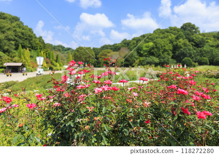 岐阜世界玫瑰園 岐阜世界玫瑰園 118272280