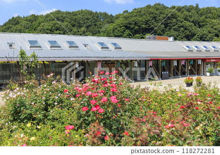 岐阜世界玫瑰園 118272281