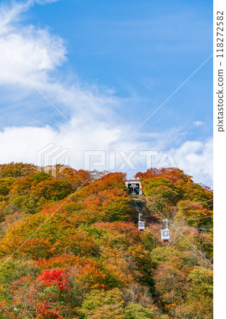 [栃木縣]染紅葉的日光明智平（10月） 118272582