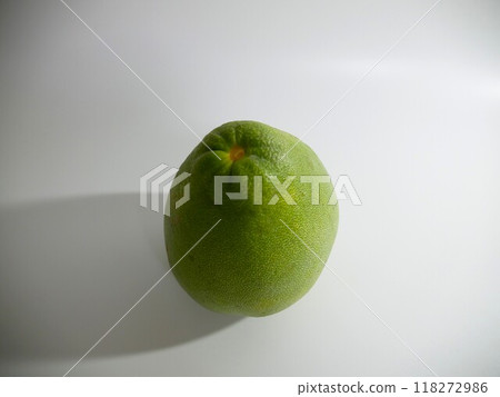 香櫞 香櫞 118272986