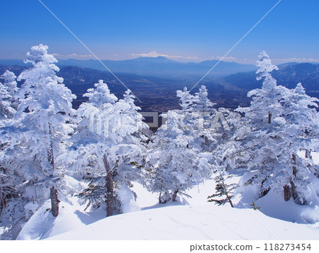 The frost-covered trees of Mt. Ebigasa in the Yatsugatake Mountains and a distant view of Mt. Fuji The frost-covered trees of Mt. Ebigasa in the Yatsugatake Mountains and a distant view of Mt. Fuji 118273454