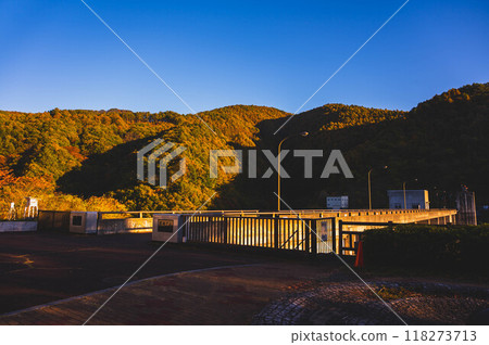 Autumn leaves at Minowa Dam illuminated by the setting sun 118273713