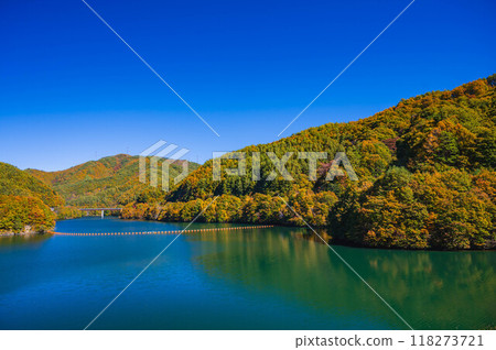 紅葉湖和秋葉 118273721