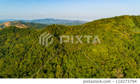 Aerial view Tropical Rainforest trees mountains,Top view green forest background 118273794
