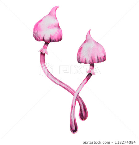 Pink poisonous mushroom. Galerina marginata, Watercolor hand drawn illustration. Clip art for Halloween cards, fairy tales, book, prints. Attribute of witches' sabbath, esotericism, magical forest 118274084