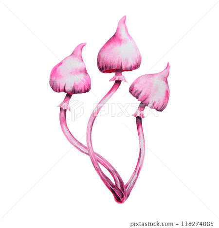 Pink poisonous mushroom. Galerina marginata, Watercolor hand drawn illustration. Clip art for Halloween cards, fairy tales, book, prints. Attribute of witches' sabbath, esotericism, magical forest 118274085