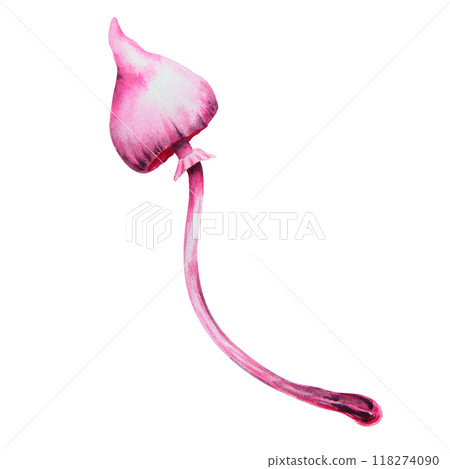 Pink poisonous mushroom. Galerina marginata, Watercolor hand drawn illustration. Clip art for Halloween cards, fairy tales, book, prints. Attribute of witches' sabbath, esotericism, magical forest 118274090