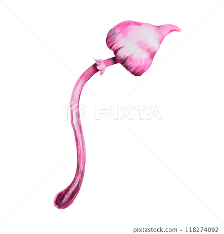 Pink poisonous mushroom. Galerina marginata, Watercolor hand drawn illustration. Clip art for Halloween cards, fairy tales, book, prints. Attribute of witches' sabbath, esotericism, magical forest 118274092