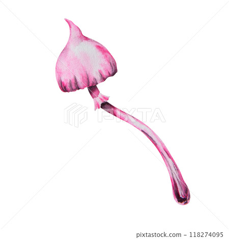Pink poisonous mushroom. Galerina marginata, Watercolor hand drawn illustration. Clip art for Halloween cards, fairy tales, book, prints. Attribute of witches' sabbath, esotericism, magical forest 118274095