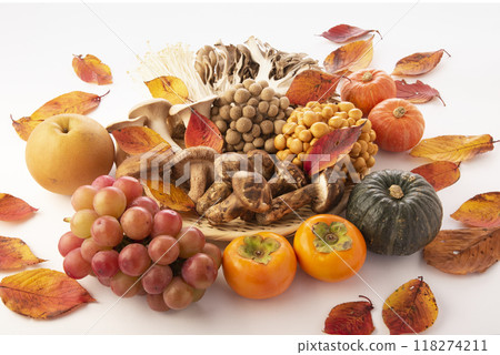 什錦蘑菇 118274211