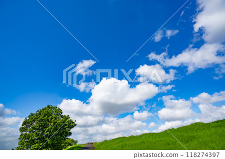 Summer blue sky and meadow 118274397