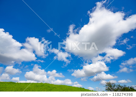 Summer blue sky and meadow Summer blue sky and meadow 118274398