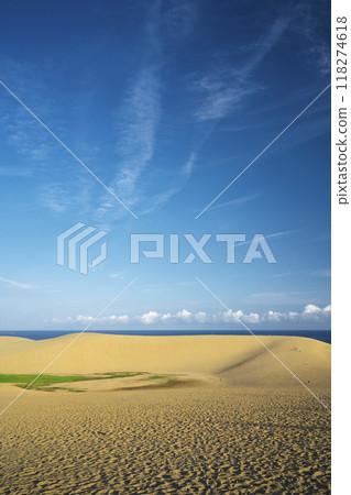 Tottori Prefecture in summer: Umanose and oasis of Tottori Sand Dunes 118274618